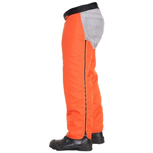 C8 CHAPS_3